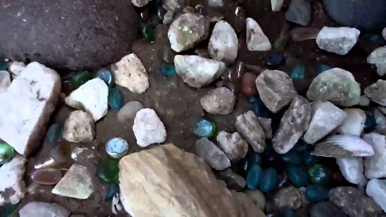 Spider crushing YouTube