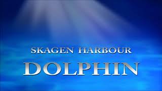 Dolphin in Skagen Harbour