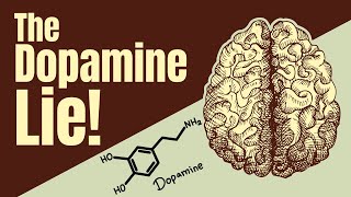 Dopamine Prediction Error: Why Your Brain Stops Caring After Success (And How to Fix It)