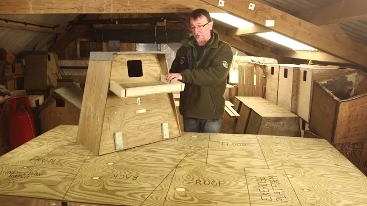 How to Build a Barn Owl Nestbox for a Tree - YouTube