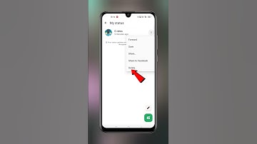 WhatsApp Status Kaise Delete Karen | How To Delete WhatsApp Status #techfrack #shorts