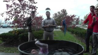 Baptisms: November 2015