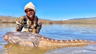 I Caught a 80 Year old RIVER MONSTER!!! {Catch & Cook} Sturgeon