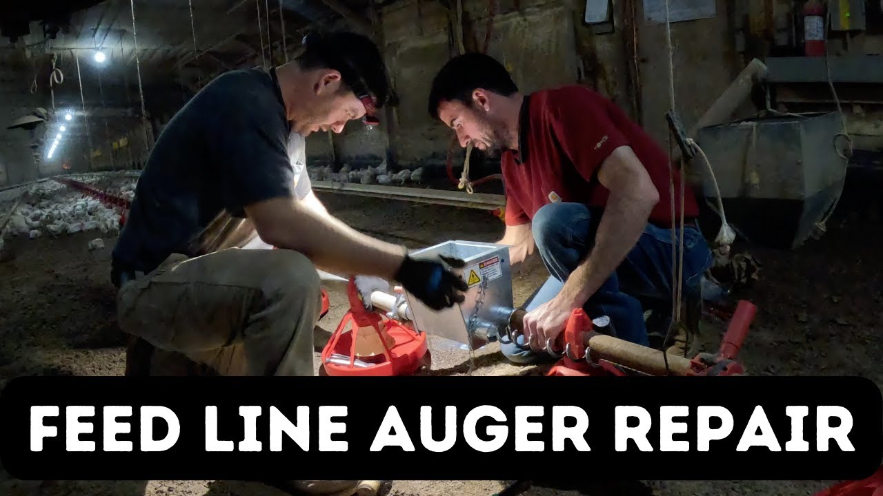 Replacing Chicken House Feed Line Bearing...Why Does A Simple Job Always Become Complicated??