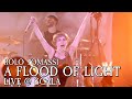 Rolo tomassi  a flood of light live  scala 091118