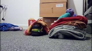 Funny MP4 50250924 210202