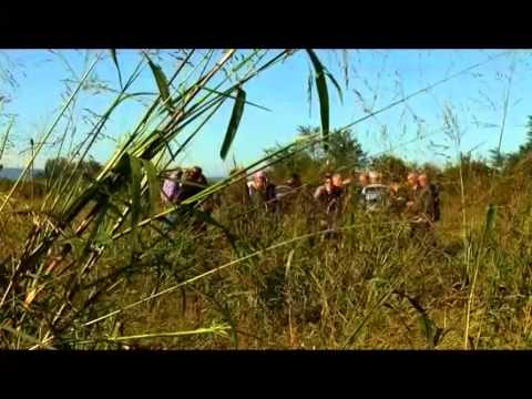 ფილმი – როგორ შეისწავლიან მიწის ყუათიანობა