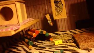 Chocolatecolors26 1,000 Sub Entry