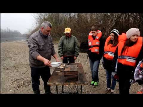 Video: Kako Se Zlato Vadi Na Zanatski Način