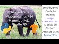 How to Train Custom Image Classification Models in Tensorflow (Step-by-Step Guide)