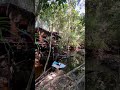 Jungle House Life: Washing Clothes in the River! 🌿 #Shorts