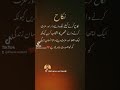 Musicshayri status new status urdu shayri dhoka sad statuslove tiktok shayriattitude status