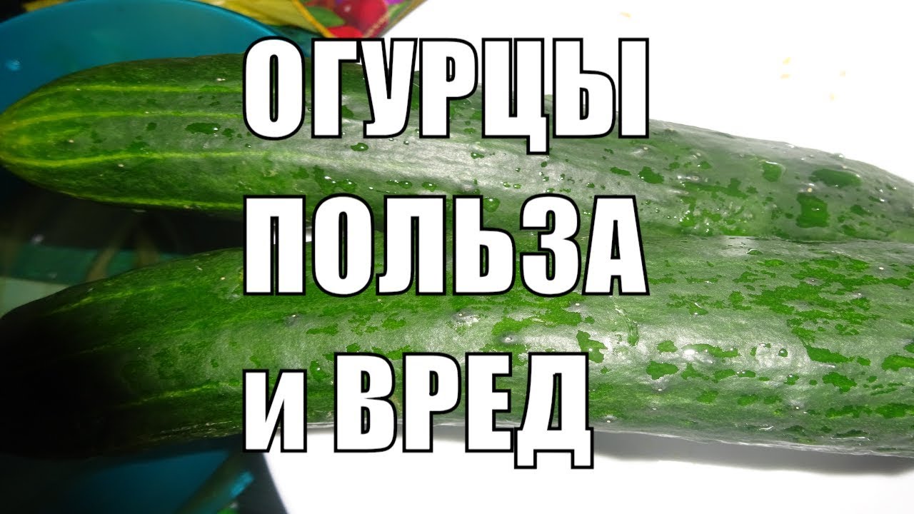 Можно ли огурцы на диете. Есть огурцы каждый день. Что будет если есть огурцы. Огурцы польза. Польза огурцов.