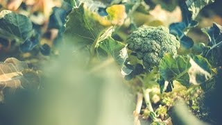 브로콜리너마저(Broccoli you too)- 살얼음(Thin ice) [romanization/romanized/lyrics]