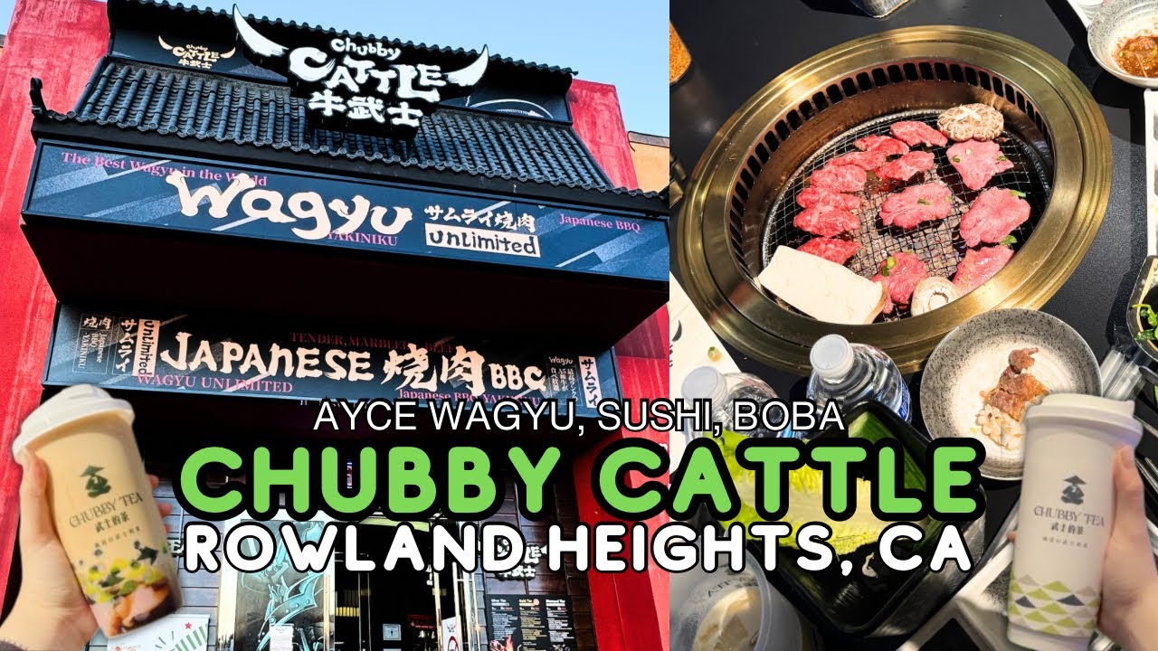 The NEW KING of Chubby Cattle Locations is HERE