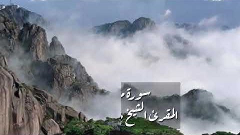 مقطع قصير لتلاوة من سورة مريم يتلوها الشيخ ضياءالمرعي