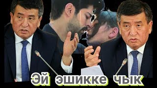 Эй эшикке чык прикол Эй эшикке чык прикол