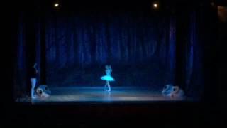 Act 2 Swan Lake Odette Variation