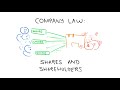 Company Law: Shares and Shareholders in 3 Minutes