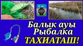 БАЛЫК АУЫ - РЫБАЛКА #тахиаташ#каракалпакистан#узбекистан#рыба#отдых#природа#зейкеш.