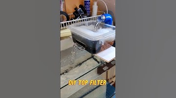 DIY Top Filter With Spillway #diy #fish #aquarium #aquariumfilter #shorts #aquariumfishtank