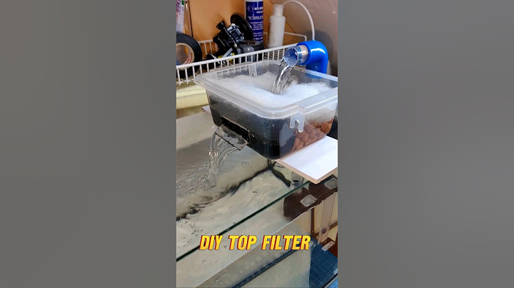 DIY Top Filter With Spillway #diy #fish #aquarium #aquariumfilter #shorts #aquariumfishtank
