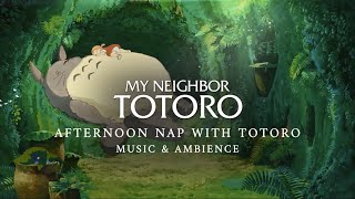 Afternoon Nap with Totoro (Studio Ghibli ASMR Ambience)