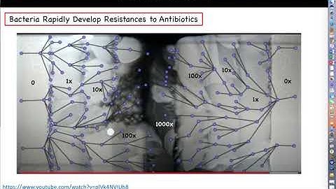 Intro. to Biotechnology - Chapter 1, Part 2