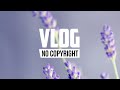 Fablik - Liar (Vlog No Copyright Music)