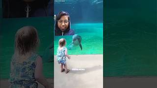 #titanic #shark #curiosity #ocean #science #trending #trendingshorts #oceanvibes #youtubevideo