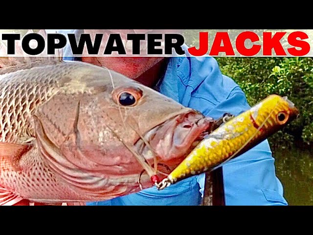 best lure to use at mudwater river fishing planet Beginner's Guide to Baitcaster Setup for Mudwater River