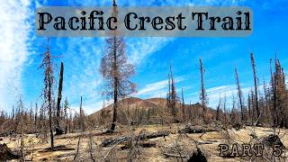 Father Son Adventure On The Pacific Crest Trail - Part 5
