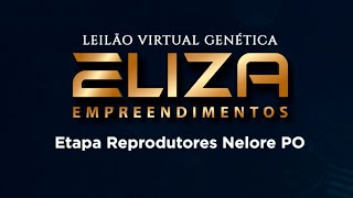 LOTE 402