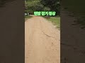 황토길ㅣ맨발걷기ㅣ국학원
