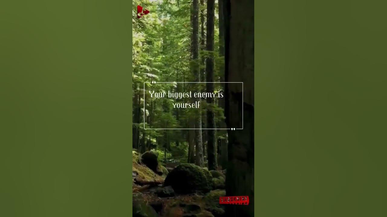 Emin & Jony - Kamin / камин [Speed up] | lyrics edit | aesthetic #shorts #lyrics