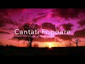 Cantati Popoare - Nicu Procopoi