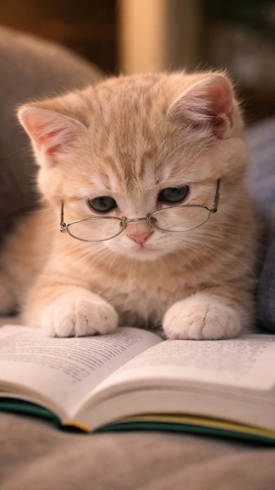 यूट्यूब चैनल - ShareChat