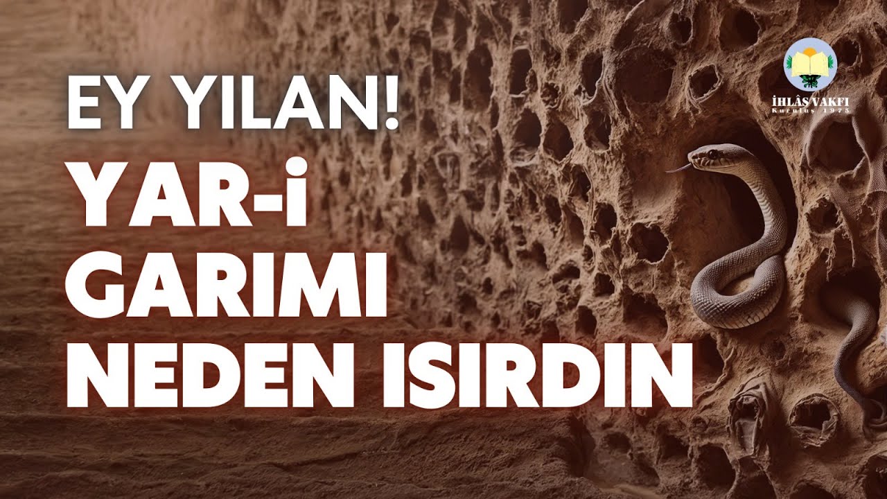 Yalangoch sirk ijrochilari video Qiz chokkalab, mushukini korsatdi