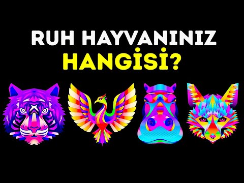 Video: Gölgelik tabakasında hangi hayvanlar yaşar?