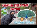 VIRTUAL FIELD TRIP | LA Zoo! | Preschool at Home