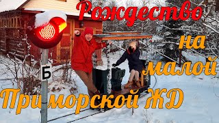 REAL TRAMS IN THE COTTAGE | Christmas on the Primorskaya Dacha Railway