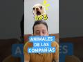 TOP 5 ANIMALES O THERIANS QUE APARENTAN SER SOCIOS O ADMINISTRADORES EN SOCIEDADES