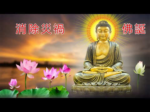 大悲咒 🙏《 最好聽的版本 》🙏 佛教音乐 大悲咒 藏音修行版 21 十一面觀音咒 🙏 一切諸菩薩慈悲與加持 慈佑眾生觀世音 大慈大悲救苦救難 南無觀世音菩薩 纯正的佛教音乐 来自内心的佛教音乐