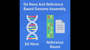 De Novo And Reference Based Genome Assembly #video #india #job #viral #bioinformatics #research