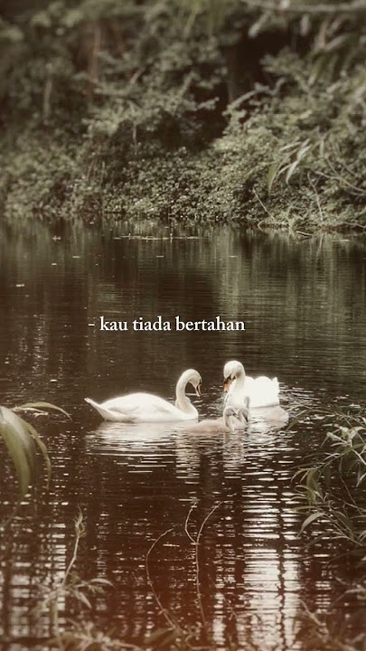 48 | Lirik | Takkan Terganti - Marcel Siahaan