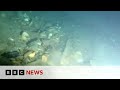 Shipwreck artefacts recovered off the coast of uk  bbc news