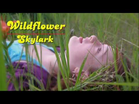 Wildflower - Skylark  [HD]