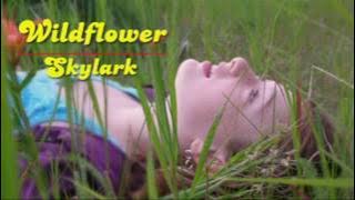 Wildflower - Skylark  [HD]