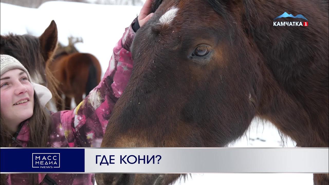 Коню где снимался. Принц на лошади. Коню где снимался. Коню где снимался. Татарин на коне.