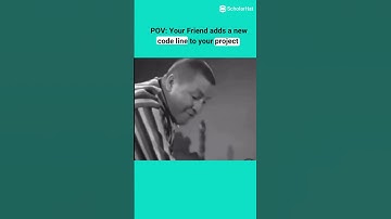 Your Friend adds a new code line to your project 😂